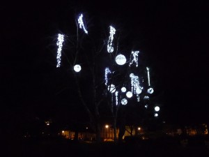 fete_6_20111231_1750017716