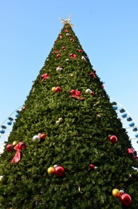 grande_roue_16_20121127_1271535258