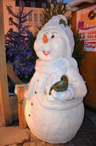 marche_noel_31_20121204_1012750214