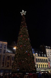 grande_roue_18_20131124_1148981783