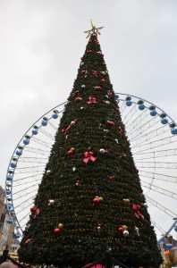 grande_roue_25_20131204_1104539935