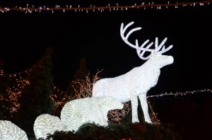 marche_noel_19_20131124_1865380183