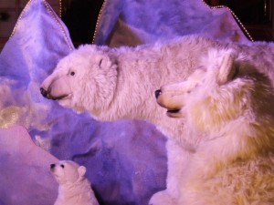 chenille_9_1_20090222_1604222263