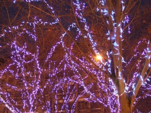 marche_noel_6_1_20090222_1750182910