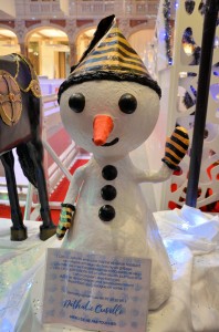 Patinoire 07