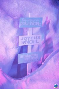 Chenille 2017 - 06