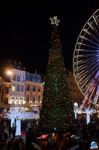 Grande Roue 26