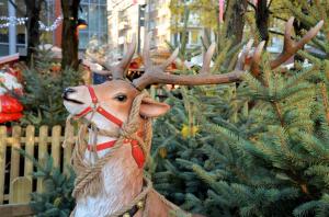 Village de Noël 2017 - 09