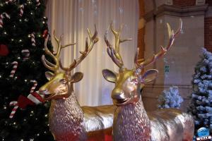 White Christmas 2019 - 06
