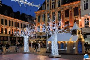 Grande Roue Royale - 24
