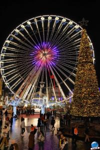 La Grande Roue Royale  - 05