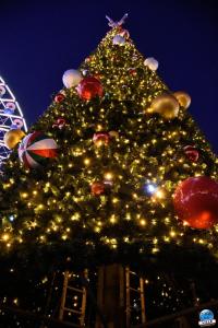 Noël 2024 - 03