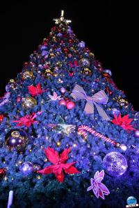 Noël 2025 - 16