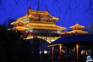 Pairi Daiza - Noël 2019 - 135