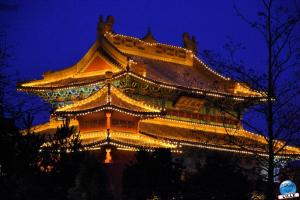 Pairi Daiza - Noël 2019 - 136
