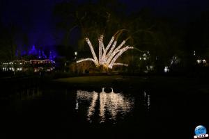 Pairi Daiza - Noël 2019 - 148