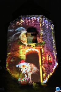 Pairi Daiza - Noël 2019 - 184
