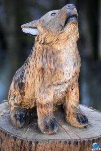 Pairi Daiza - Noël 2019 - 19