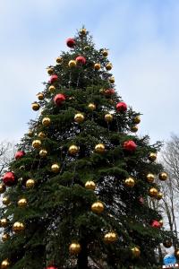 Pairi Daiza - Noël 2019 - 60