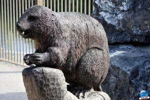 Pairi Daiza - Été 2020 - 18