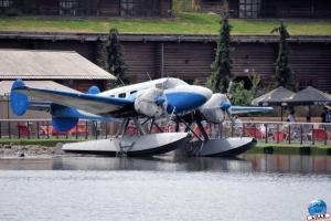 Pairi Daiza - Été 2020 - 76