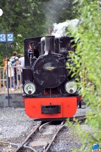 Pairi Daiza - Été 2020 - 78