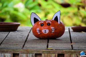 Pairi Daiza - Halloween 2021 - 107