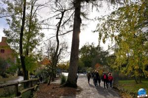 Pairi Daiza - Halloween 2021 - 11
