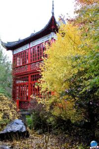 Pairi Daiza - Halloween 2021 - 113