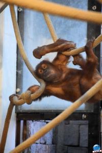Pairi Daiza - Halloween 2021 - 117