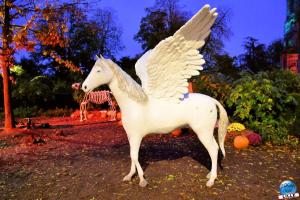 Pairi Daiza - Halloween 2021 - 136