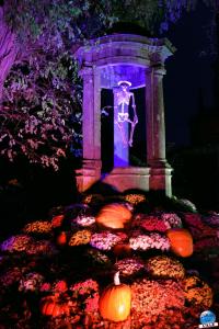 Pairi Daiza - Halloween 2021 - 137