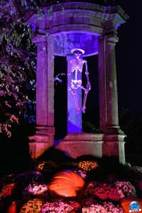 Pairi Daiza - Halloween 2021 - 138