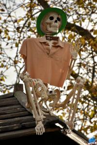 Pairi Daiza - Halloween 2021 - 14