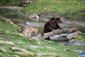 Pairi Daiza - Halloween 2021 - 24