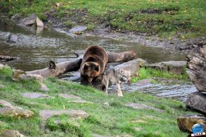 Pairi Daiza - Halloween 2021 - 25