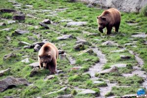 Pairi Daiza - Halloween 2021 - 27