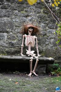 Pairi Daiza - Halloween 2021 - 48
