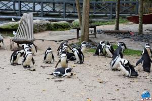 Pairi Daiza - Halloween 2021 - 68