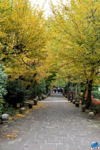 Pairi Daiza - Halloween 2021 - 75