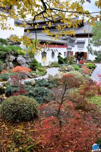 Pairi Daiza - Halloween 2021 - 77