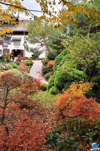 Pairi Daiza - Halloween 2021 - 78