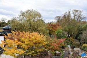 Pairi Daiza - Halloween 2021 - 91