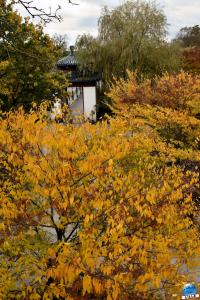 Pairi Daiza - Halloween 2021 - 93