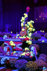 Pairi Daiza - Halloween 2021 - 98