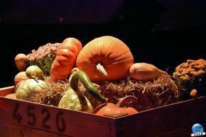 Pairi Daiza - Halloween 2021 - 99