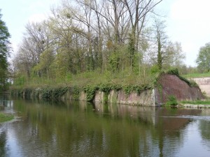 parc_35_20101019_1480083170