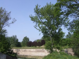 parc_38_20101019_1491315086