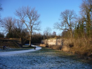 parc_43_20101019_1017502096