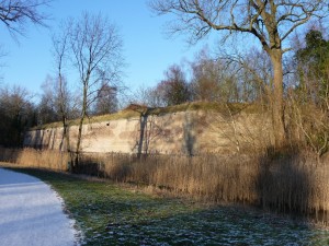 parc_44_20101019_1683524383